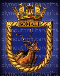HMS Somali Magnet